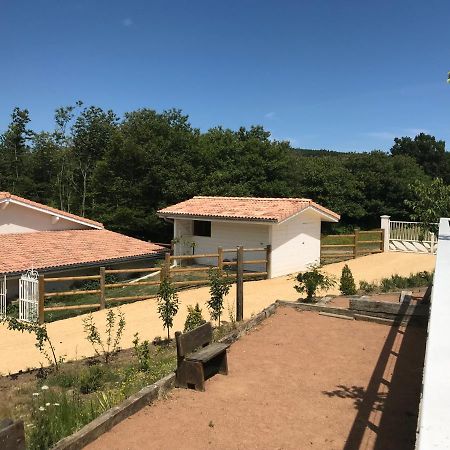 Domaine Du Mont Monnet - Chambre D'Hotes & Gite Longes ภายนอก รูปภาพ